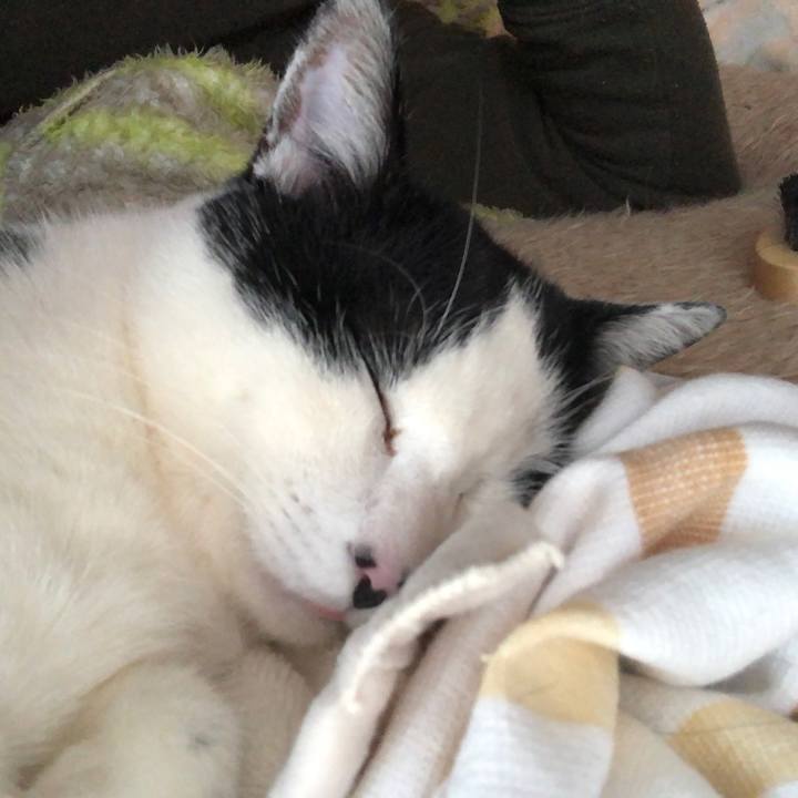 733bec88 007f 45dd 8461 ef0bd804c3bd 1547969076550