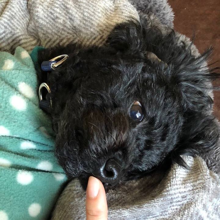 733c3bc0 2281 47ed ac9d 475bd5053741 1582456875656