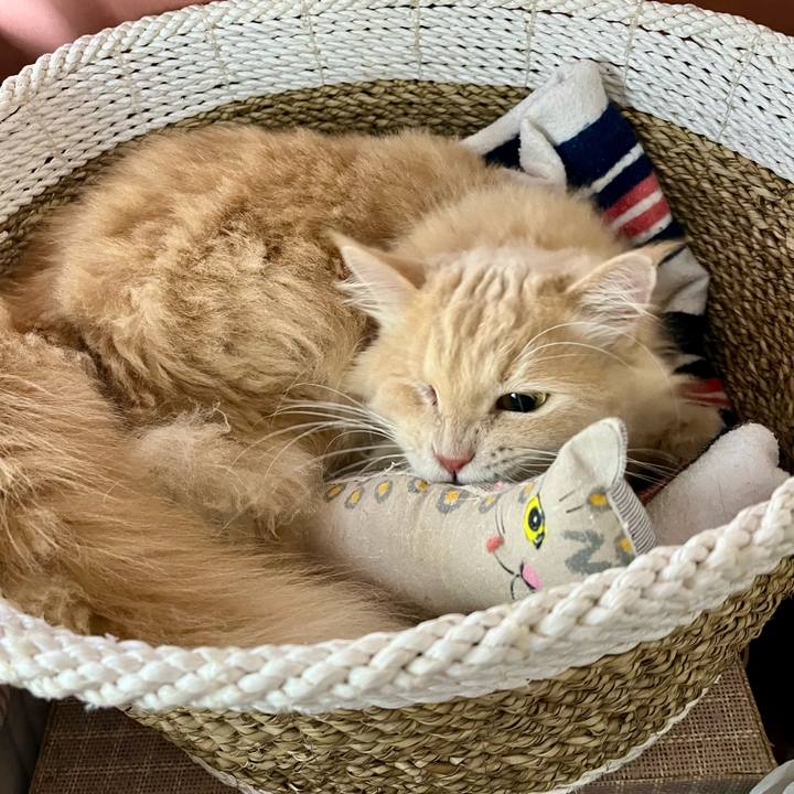 733c44af 589c 448c 804d 80080a5f1be6 1763815058112