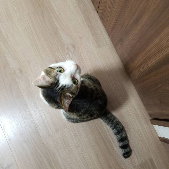 733c5ca6 b330 4e97 ab1f b3c901e8984a 1559597929617