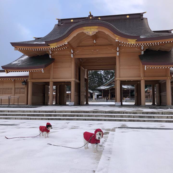 733cb209 04dc 4051 9627 7ac433479059 1581207742246