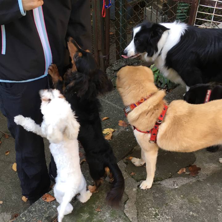 733cb881 46c1 4150 a844 1baf79aa2d04 1541128465701