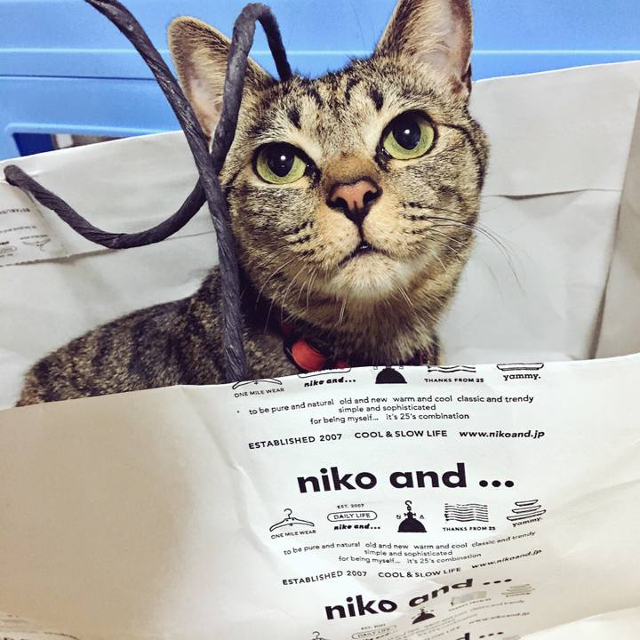 733cc55c 5802 4f6c 92a8 43a296e22533 1507893051952