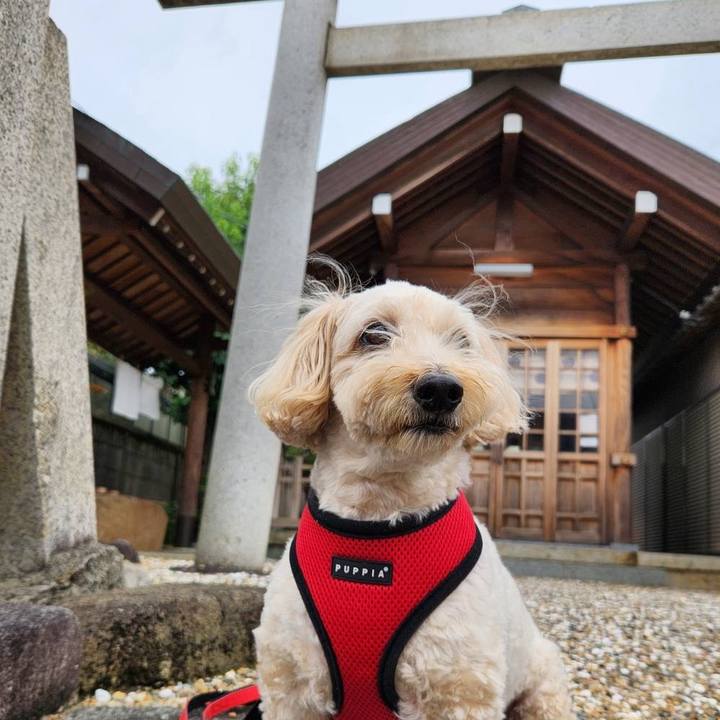 733d1657 76ef 4c75 830e aa6fb9b01123 1761014384082