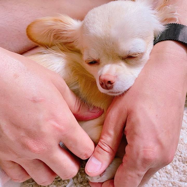 733d5717 6d19 476e 8181 f46dfc021d9b 1621740238648