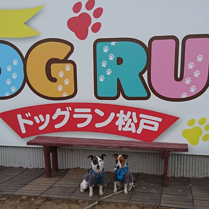 733d5ce0 419c 4de9 9948 f3bb5914b27d 1552817788162