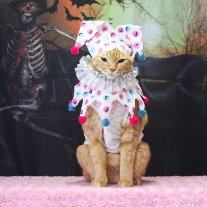 733d73c5 4ce6 4a5b b1d6 55a4eb5574ad 1696216085470