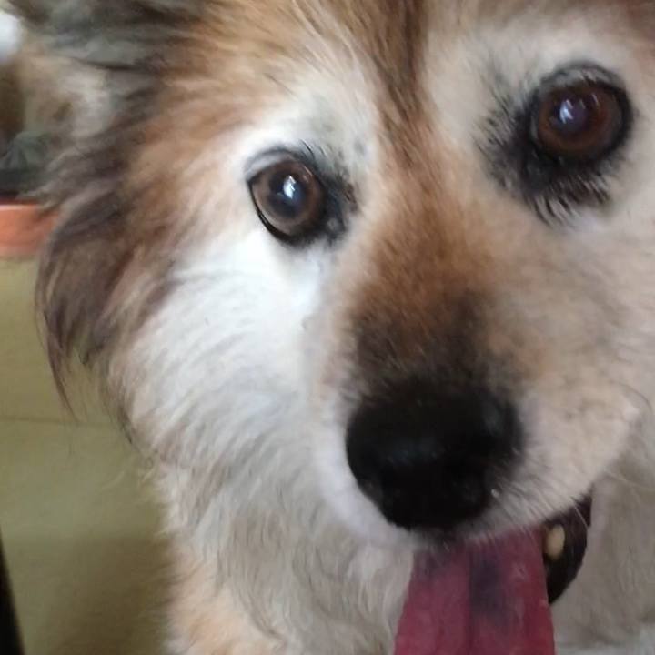 733dc68a 6660 49a4 9192 5e6cc77d8c02 1556320597740