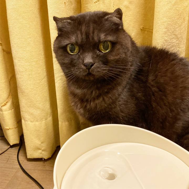 733dcfd1 24e7 400b bb0e 0a75ed623d2a 1641132333479