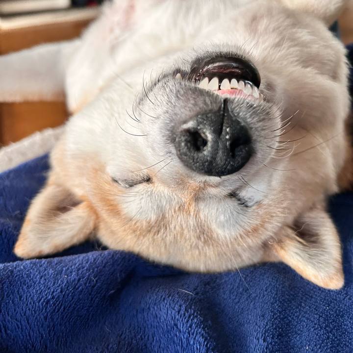 733de35e bbca 4daa 9c58 7fc23fc75f1b 1751194376419