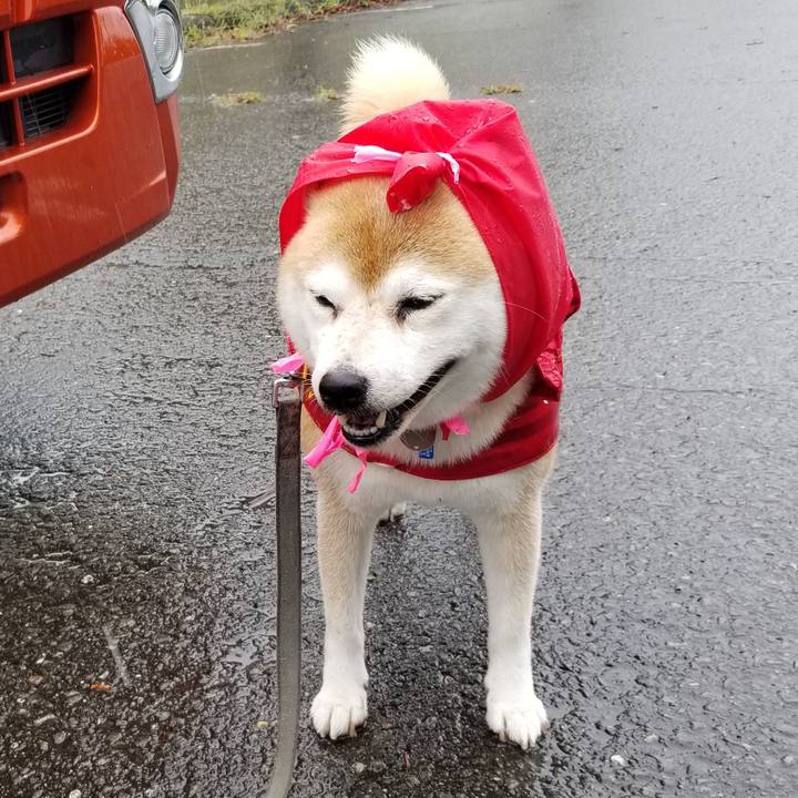 733e8add 182c 401e 88f8 8a965f631303 1631083162969