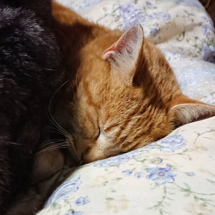 733ec0db 9ae3 4def 8262 f64f7b93522d 1579002209808