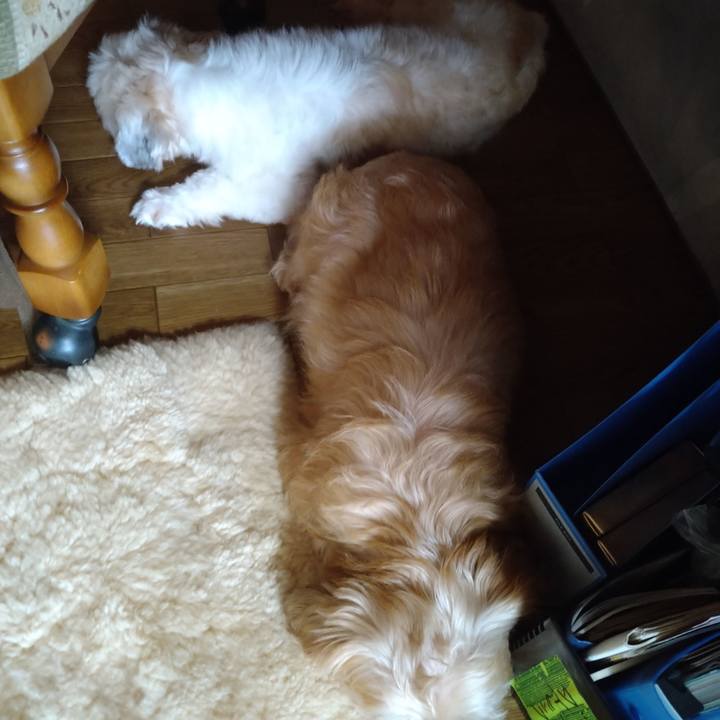 733ecdb6 f856 4b8f bd4b 7084299273a2 1600049210696