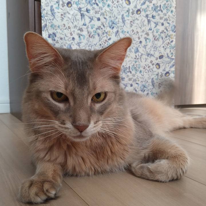 733f19c6 0f7e 4e79 9153 ff0ee71f75d0 1607826093562