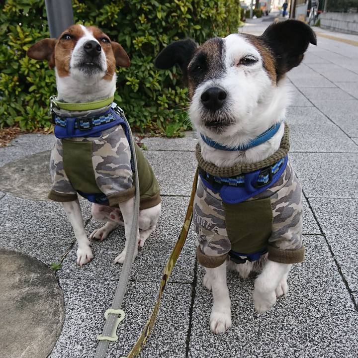 733f1dab 641f 4e6b 8e0c 36590f0e01f6 1614815210608