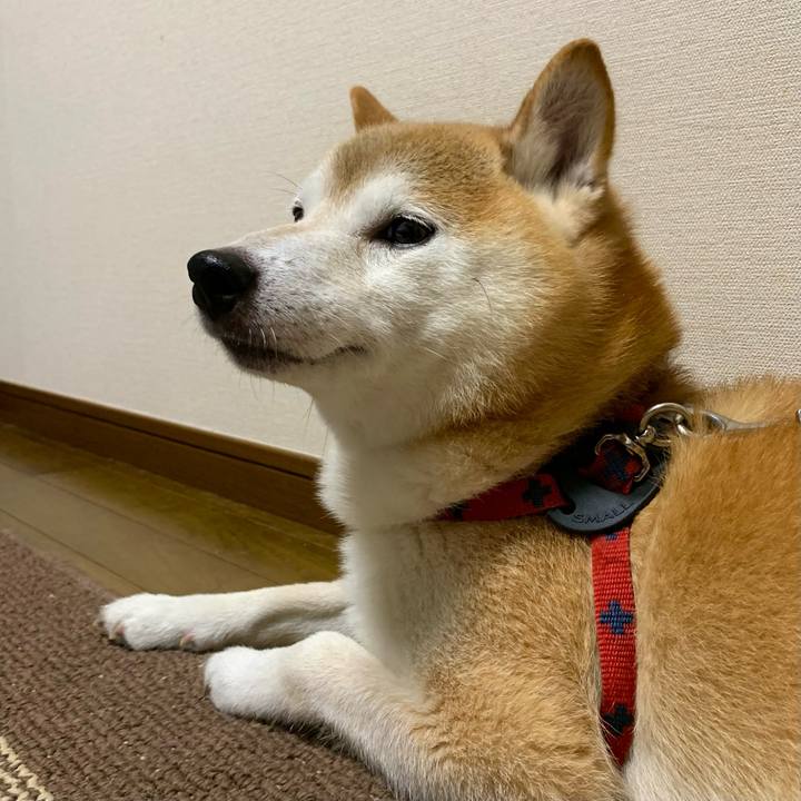 733f7e6c eb81 499f 8ec9 f1a205502e73 1692186311897