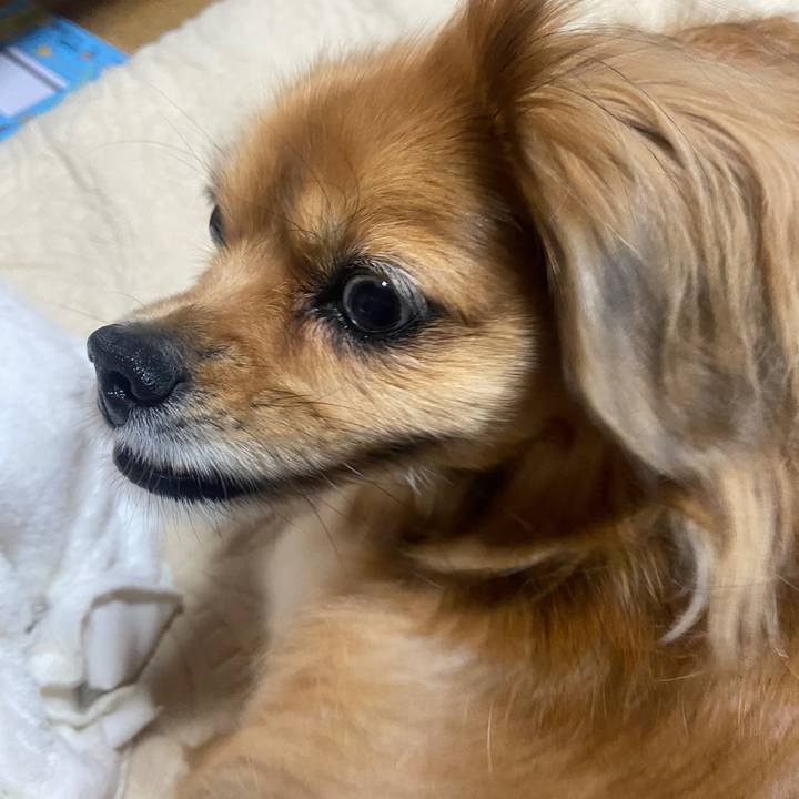 734053ec b8f7 4066 9b50 0d05dc1c3f57 1670278834885