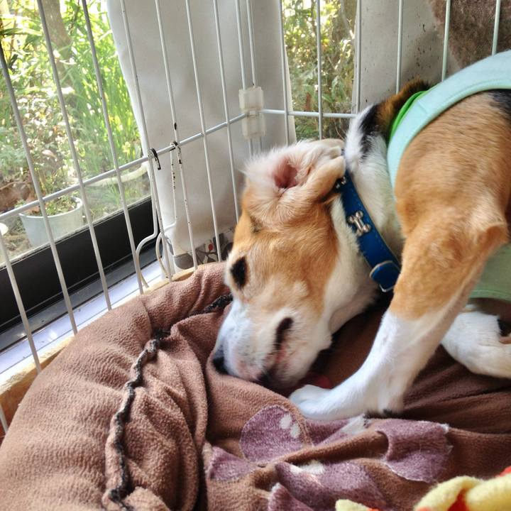 7340b2a0 b6a9 45e4 ac1d 99ba62ef1403 1742171095978