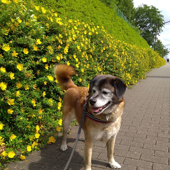 73410c09 45a1 48b3 bf43 51406c45c4d6 1559521688260