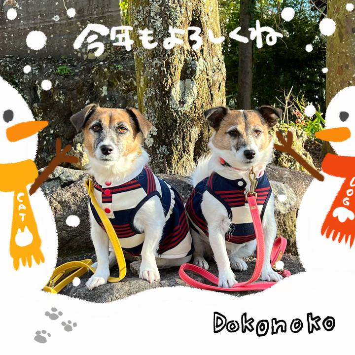 734110dc 1f1f 434f afd1 5570896ebb6c 1704082832304