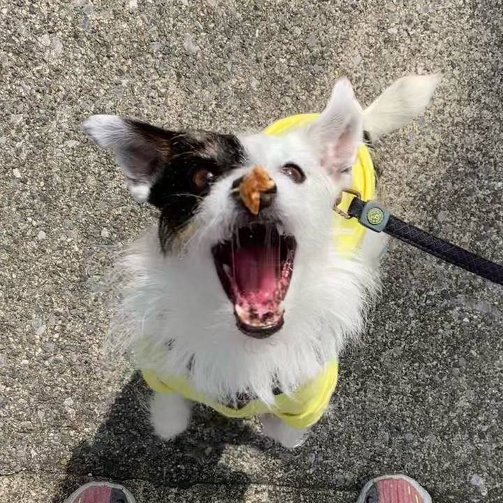 73411c4a 0d7a 48d4 adb2 8c4a2aa72d80 1681777925976