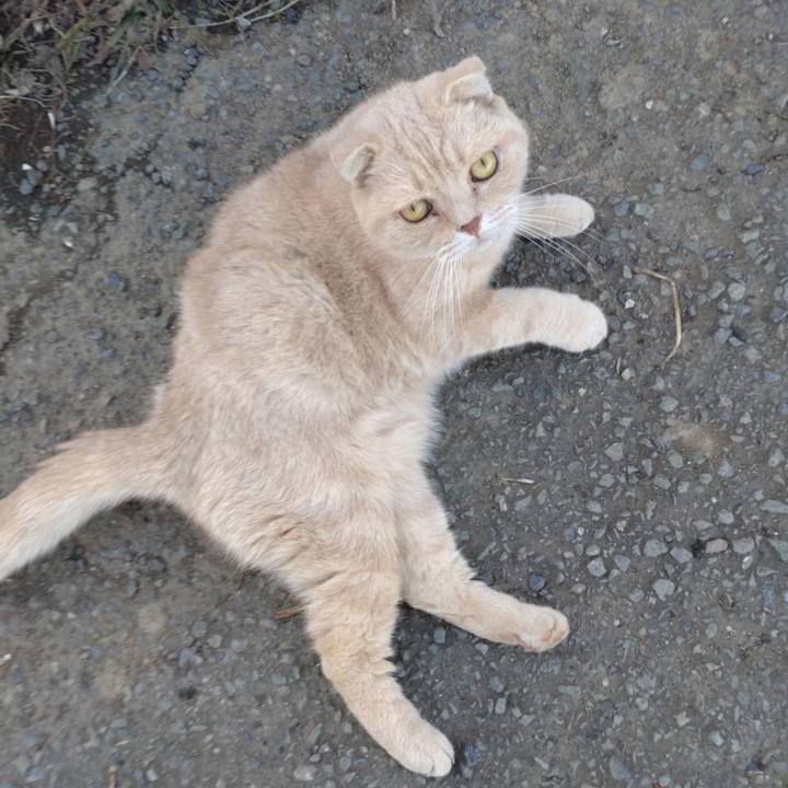 73415052 cab5 467a 90a3 72acbcd4b715 1760680649582