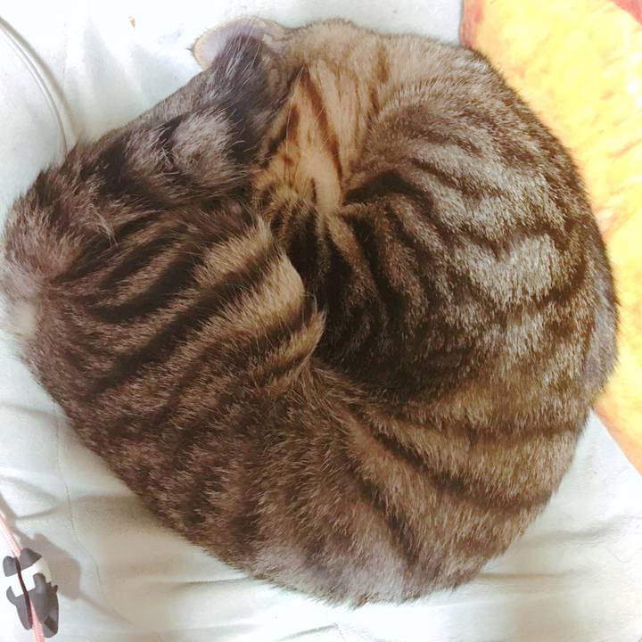 73416e0c 8688 416a a627 57eb4aca6f38 1540552587298