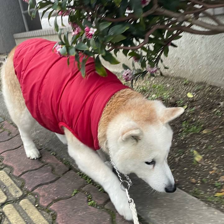 7341903e b86d 4a07 86dc 7d8064e8db66 1709040447786