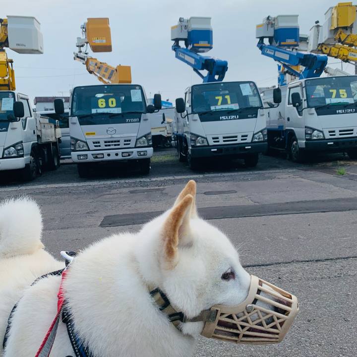 7341c705 5c51 4fd3 a794 ab9c8e3a01b5 1625349066408