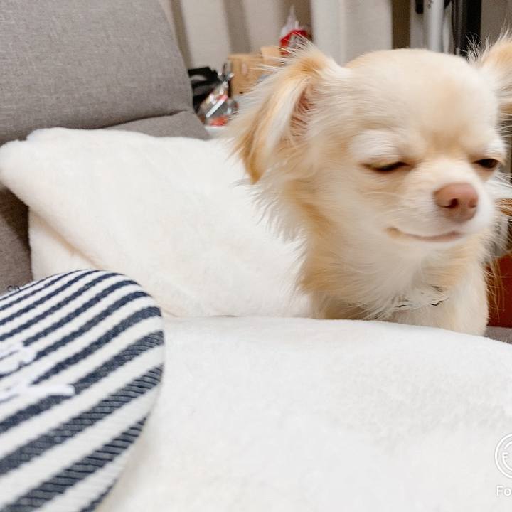 73420998 fec0 44d5 adf4 05416118f3aa 1610354887479