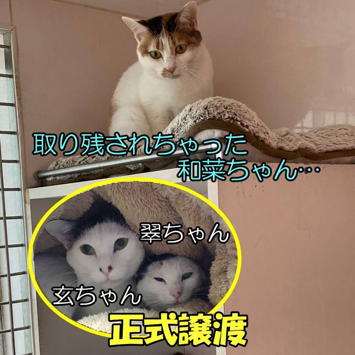 73420b2d 6be3 4a53 a58f d9f50026d541 1603923941739