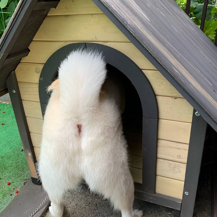 73425df1 7483 4b2f abb3 69bd2da5ad60 1571204927851