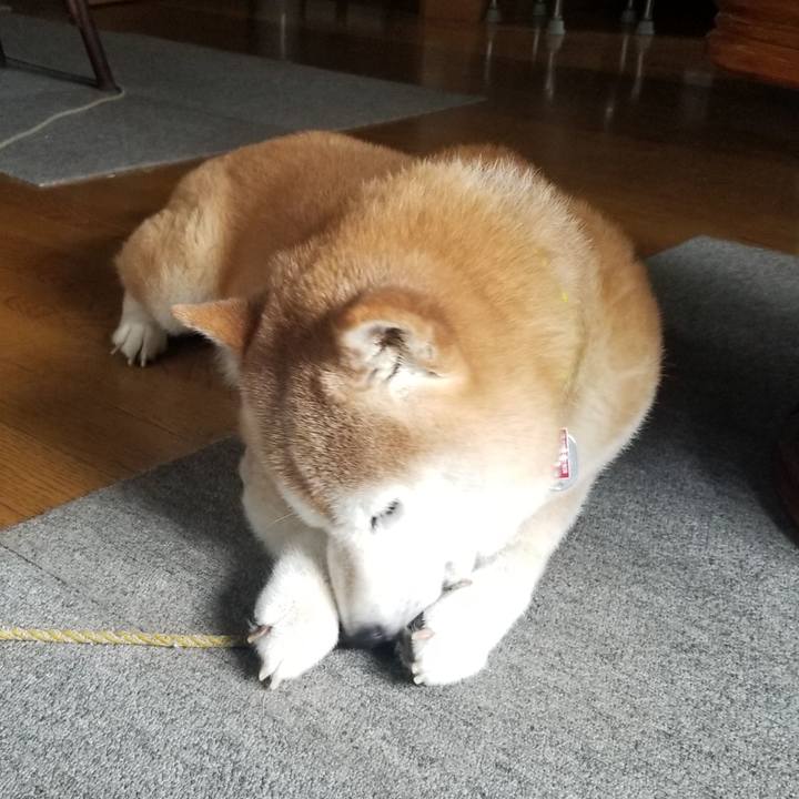 73429363 14ac 4396 a2ec bd7c6c45f640 1692851549228