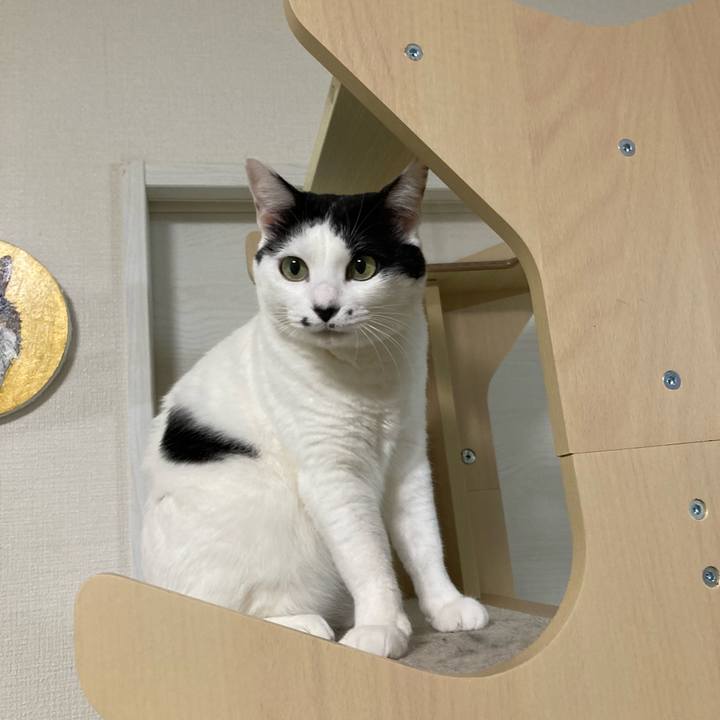 73432825 612d 4984 9623 e3acb32c56a0 1766001314149