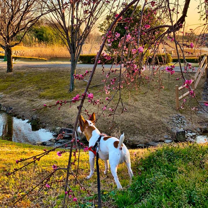 73432bb2 c3d8 47f0 b307 3e95ef22f4d9 1551171967965