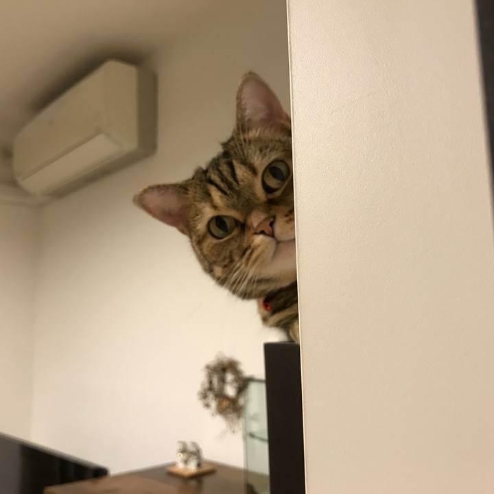 7343594e 3229 407f 885f 70d6f76103b7 1544708363266