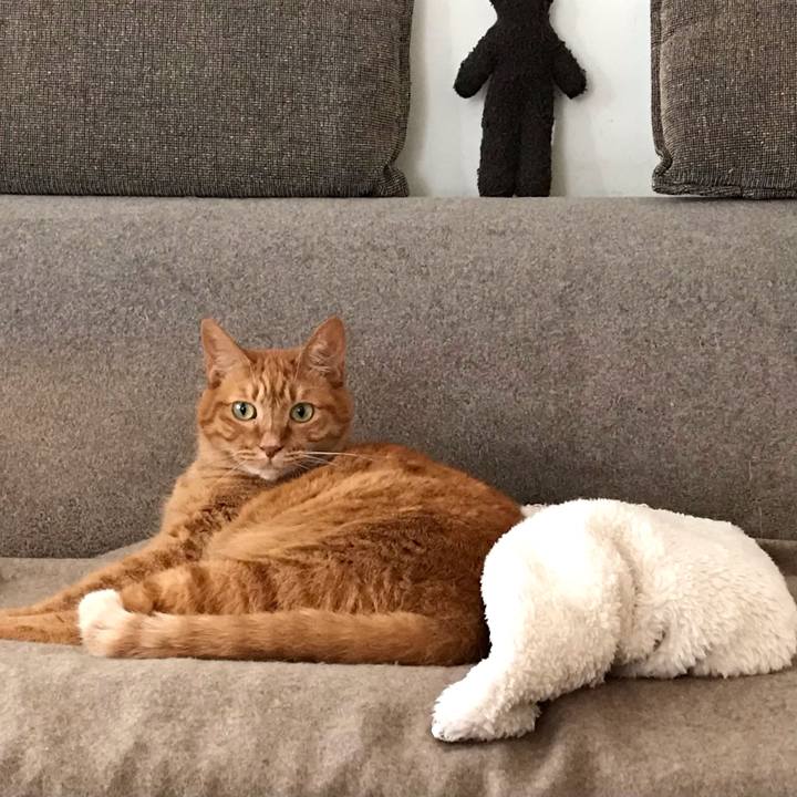 73436bae 4e65 4e37 9392 84bbf967f663 1609981823225