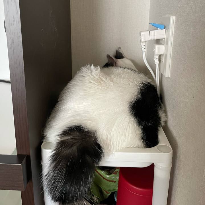 73438efa 6d92 4525 8479 8b9fad199a56 1627357163313