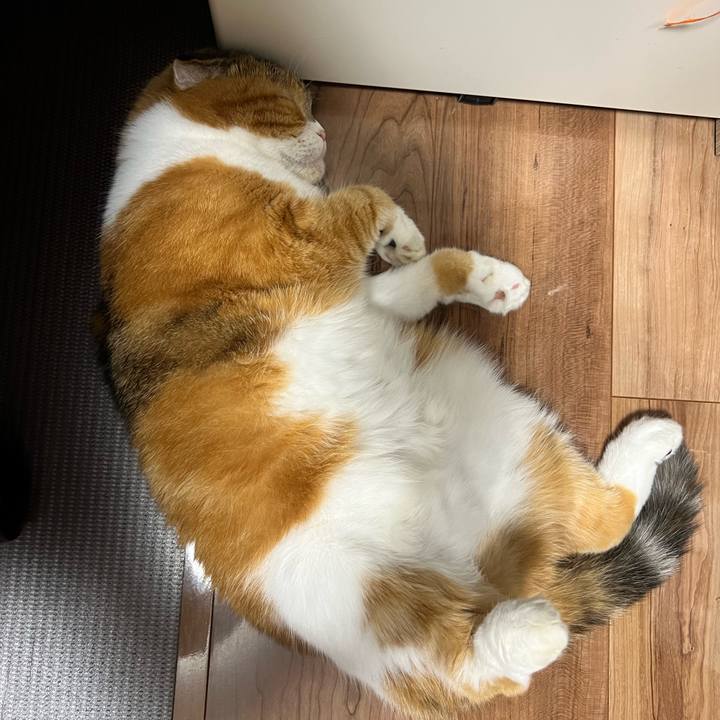 73439973 b4e1 4416 a071 3556724edcc4 1726804343650