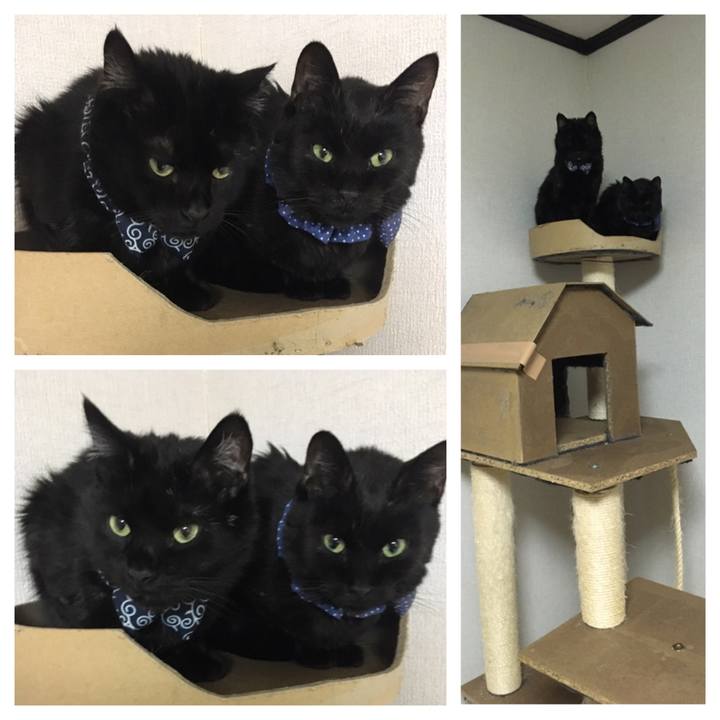 7343ac74 84f9 458c 8929 c20856c8853d 1552484137070