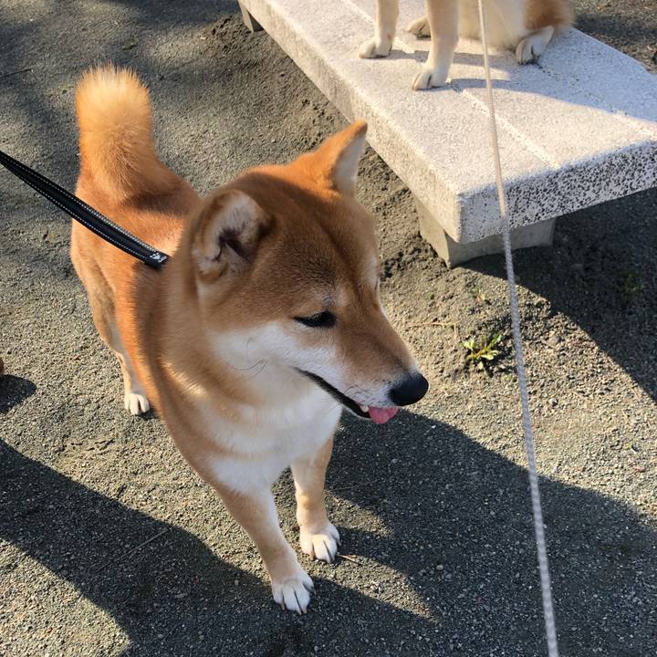 7343c3af 003b 4cf9 8215 c0e9fc6bbdbc 1555549431521