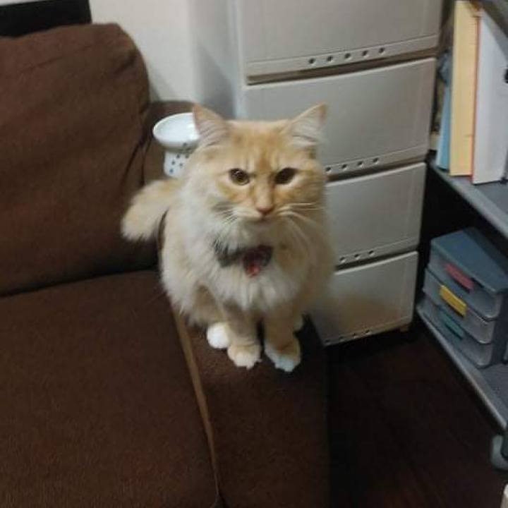 7343c8c7 aaa5 4ca6 86b7 b50f0ff7e73e 1645699158701