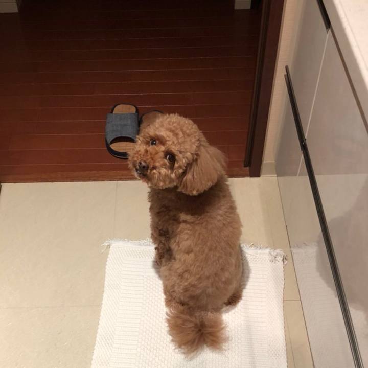 7343cd25 f167 4d31 8eec ae145808e5bd 1518776394708