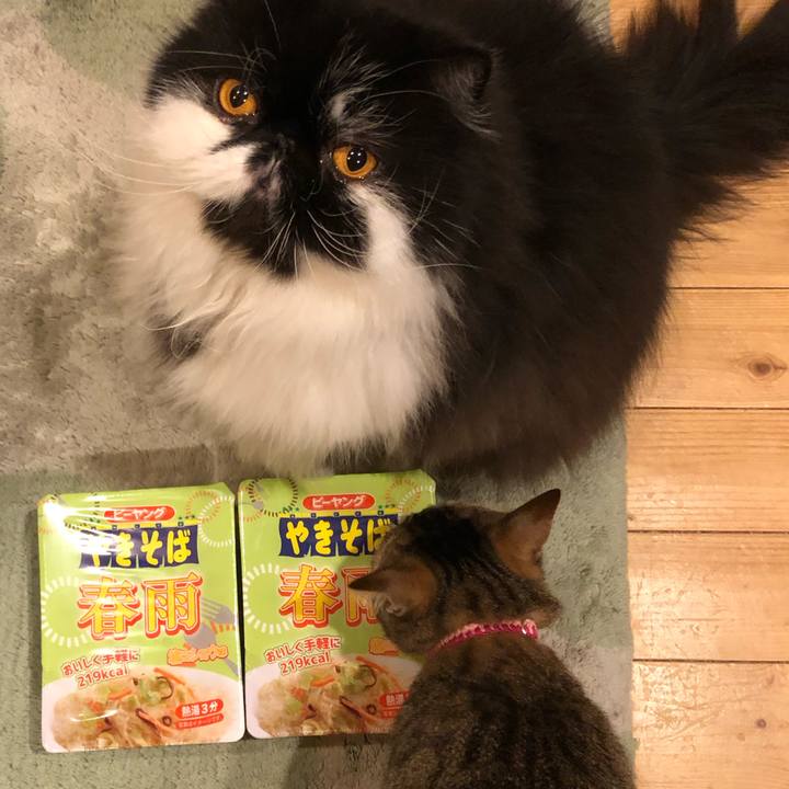 7343d554 12c4 44b1 8185 4dc3c726bb83 1613551479649