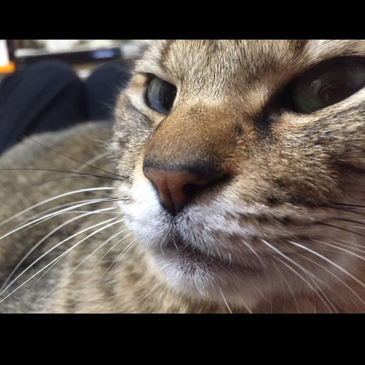 734430a7 281f 47ba 89f1 f001a8a5a510 1697466442255