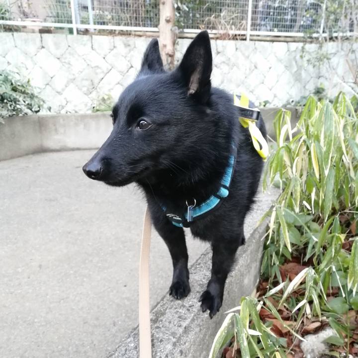 7344de93 55a7 49a4 83aa 72c4c1e07db8 1646258179212