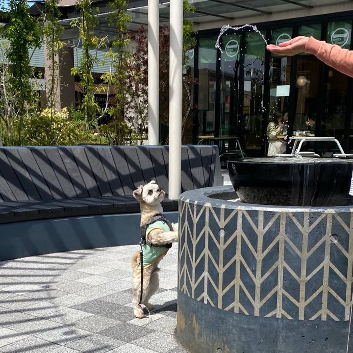 7344fa0f dff2 46c3 bc1b e5ffbfb40374 1619409130610