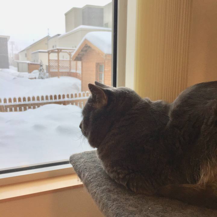 73450205 d1bc 4a46 8e99 52638c3cd213 1519355041812