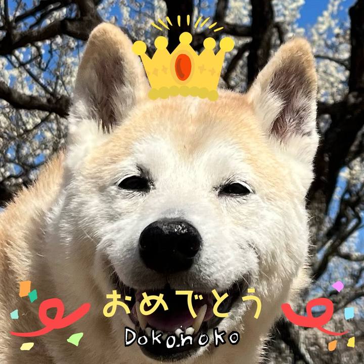 73452182 e261 41d9 a687 9824b46beddd 1685971128853