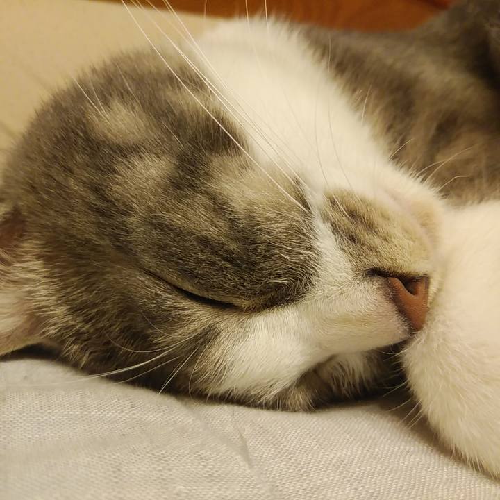 73455299 5c97 4711 8e51 3bf8a8173b5b 1590330794615